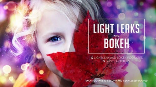 Bokeh and Lightleak - 24679277 - Motion Graphics (Videohive)