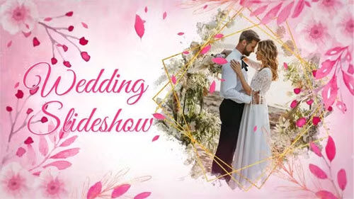 wedding Pink Watercolor Slideshow - 51645876 - Project for After Effects