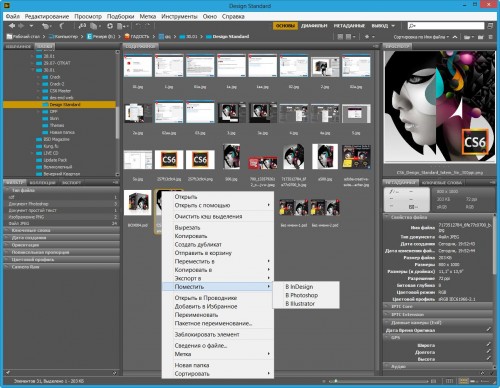Скачать Adobe Creative Suite 6 Design Standard (2012/ML/RUS)