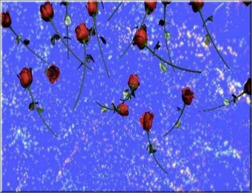 футаж - Падающие розы с фейерверком
