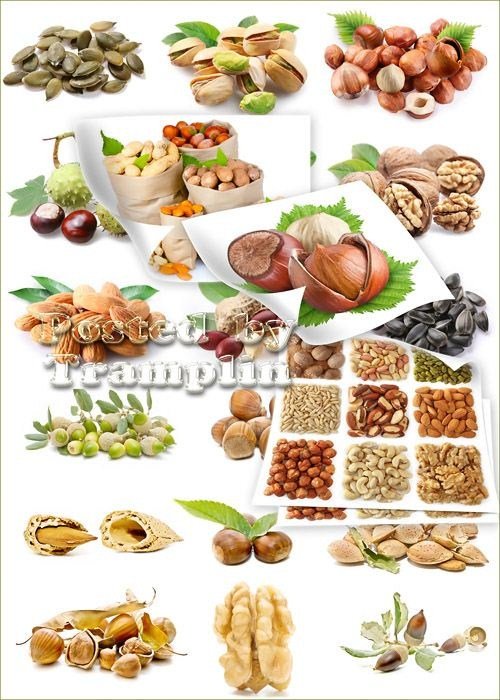 Растровый клипарт  -  Орехи, семечки, фисташки, листочки, миндаль, желуди