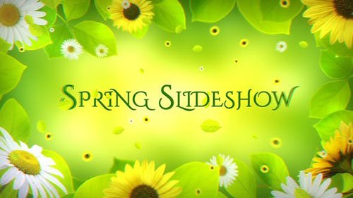 Spring Slideshow 21839087 - Project for After Effects (Videohive)