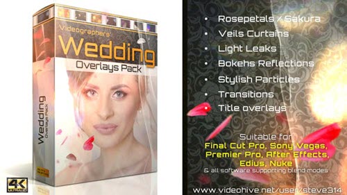 Wedding Overlays Pack - 21713069 Videohive