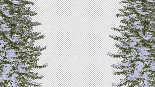 Christmas Trees - Snowy Forest - Windy Gate - Transparent Loop - - Motion Graphics
