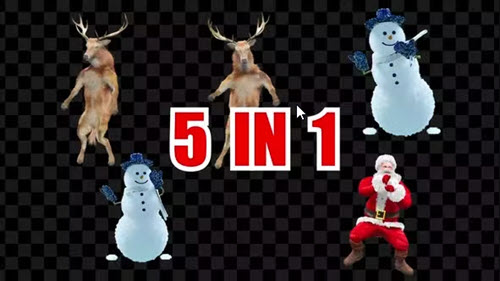 Christmas Santa Clause Snowman Deer 5 Pack - 39751233 - Motion Graphics