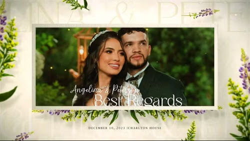Wedding Invitation Slideshow | Instagram Version - 48121803 - Project for After Effects
