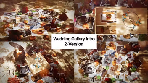 Wedding Gallery Intro - 52118349 - Project for After Effects
