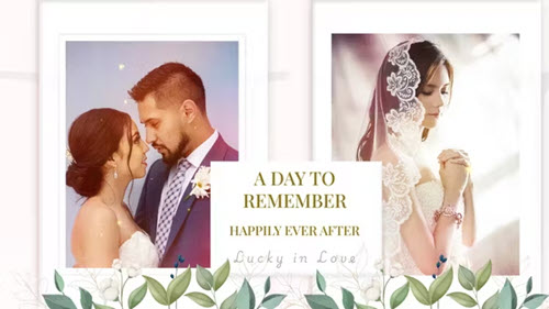 Our Wedding - 53456185 - Project for After Effects